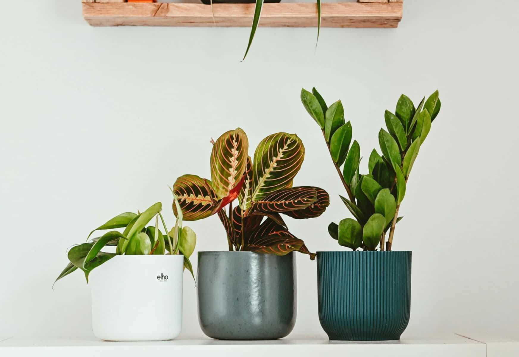 nik VXSKg4OWCp0 unsplash scaled