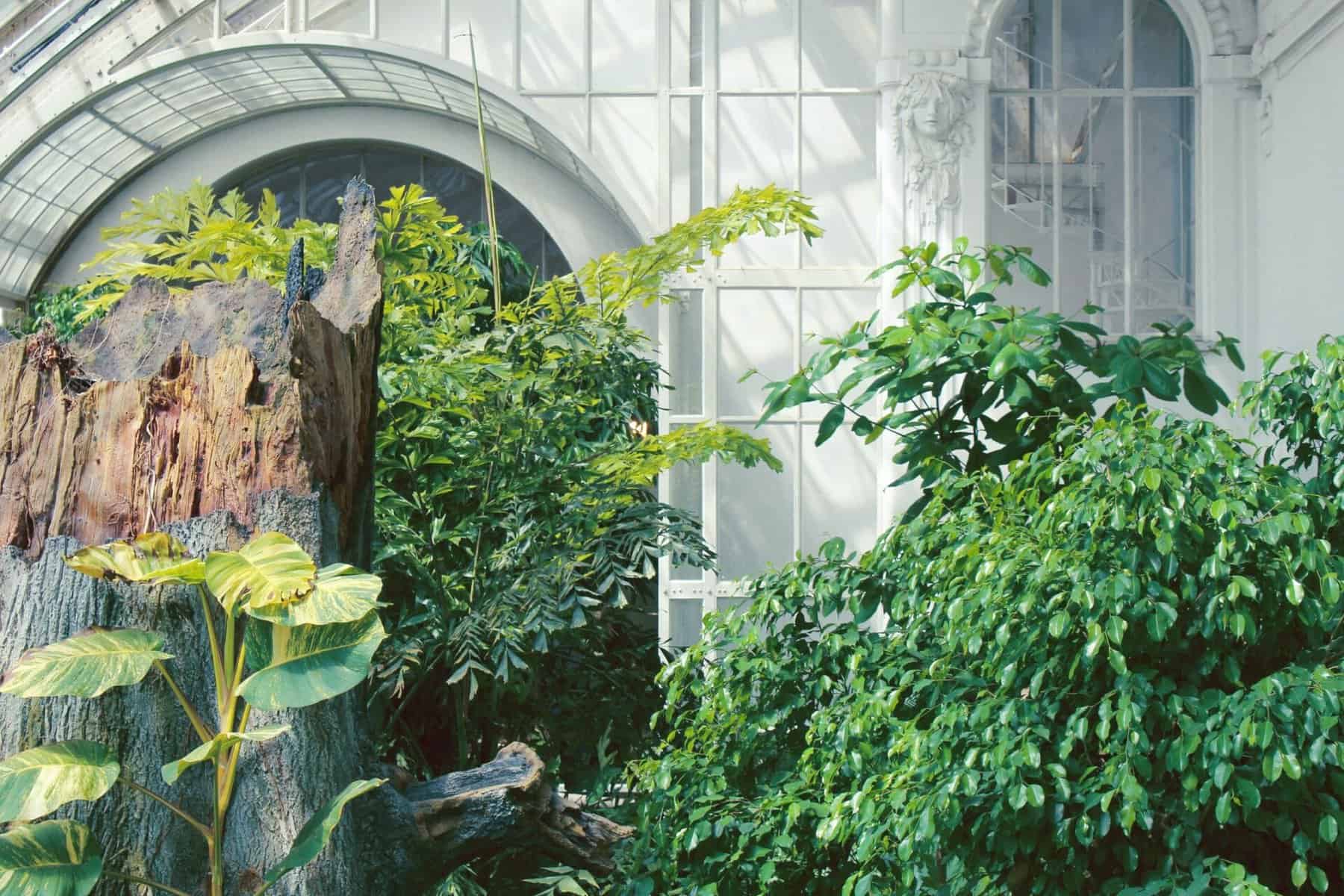 olesia bahrii tRB f7bW9jk unsplash