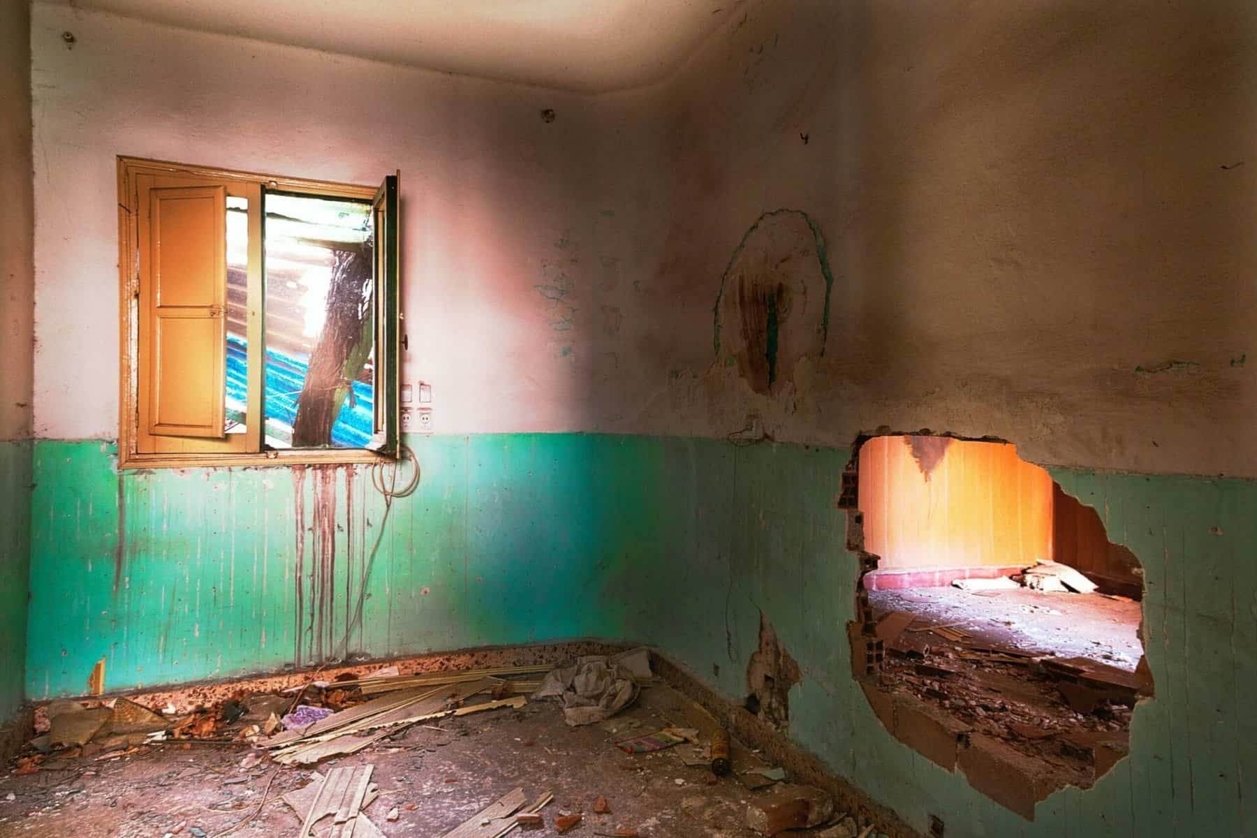 quino al 8a0t5JvSEvI unsplash scaled