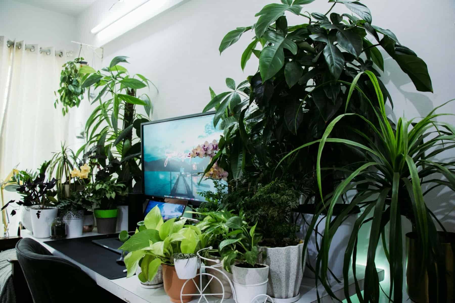 sanni sahil CIAy FpKsFg unsplash scaled